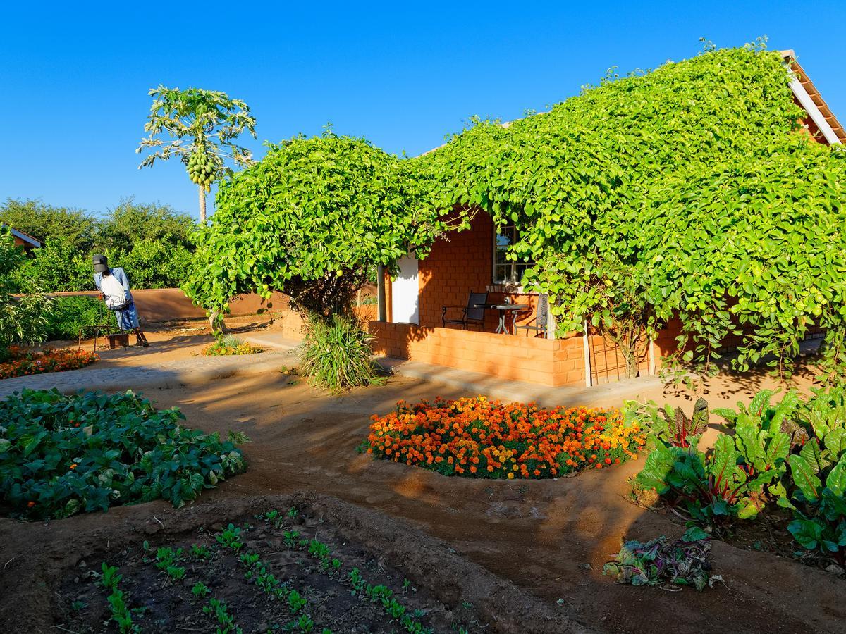 Gondwana Damara Mopane Lodge Mopane Pos Exterior photo